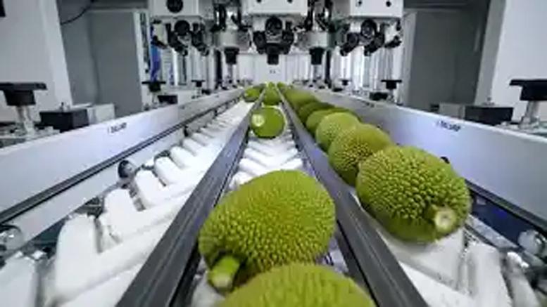 কাঁচা কাঁঠাল দিয়ে বানানো অসাধারণ আচার